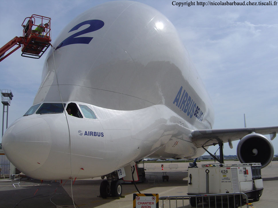 aviacion aviacion